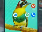 ZTE Blade (Used)